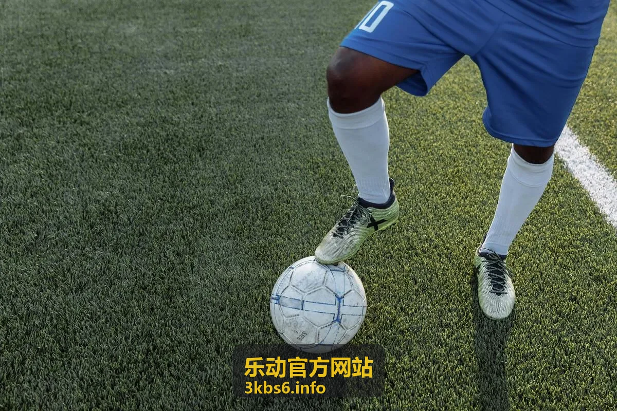 音乐运动课堂内容介绍